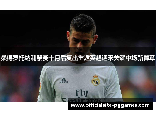 桑德罗托纳利禁赛十月后复出重返英超迎来关键中场新篇章